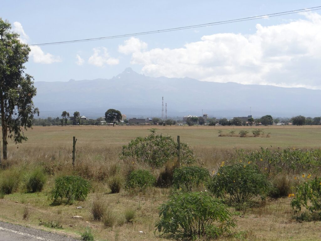 Title Deed Check. Checks before buying land. An image showcasing a plot of land