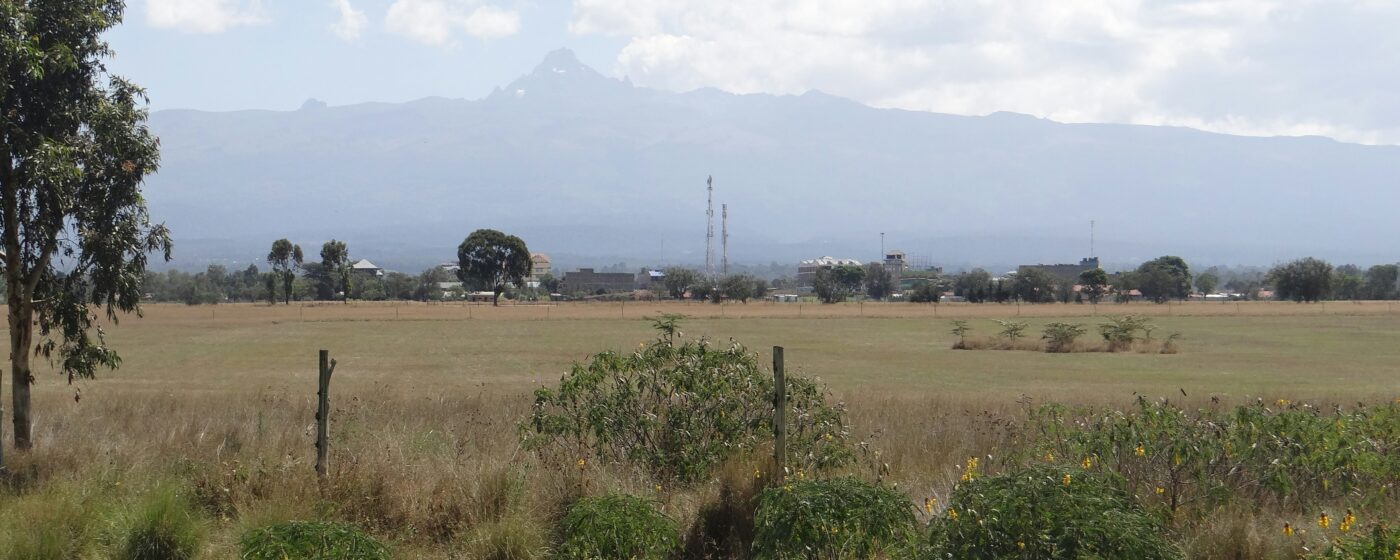 Title Deed Check. Checks before buying land. An image showcasing a plot of land